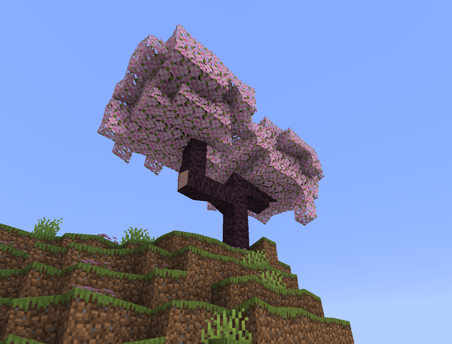 Cherry tree with shaking blocks
