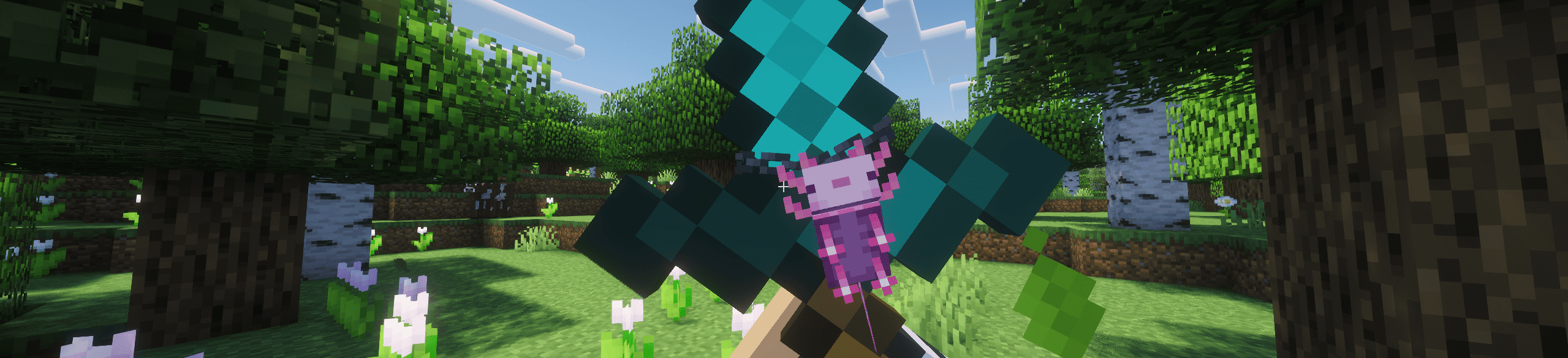 banner