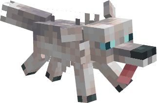 Leucistic Coyote!