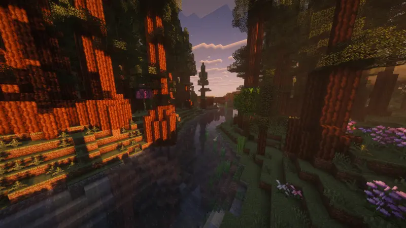 woods