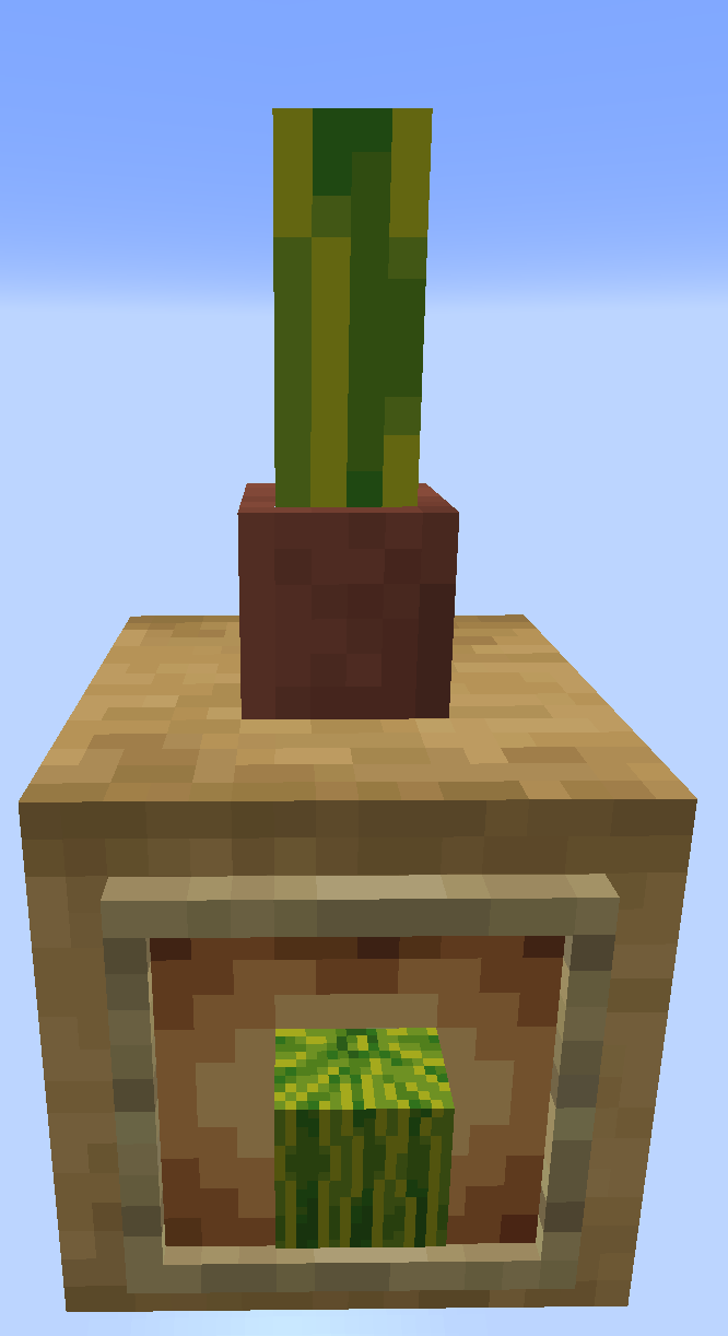 Potted Melon Block