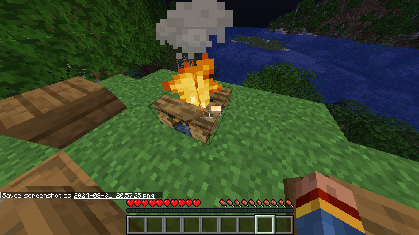cooking marshmallows :)