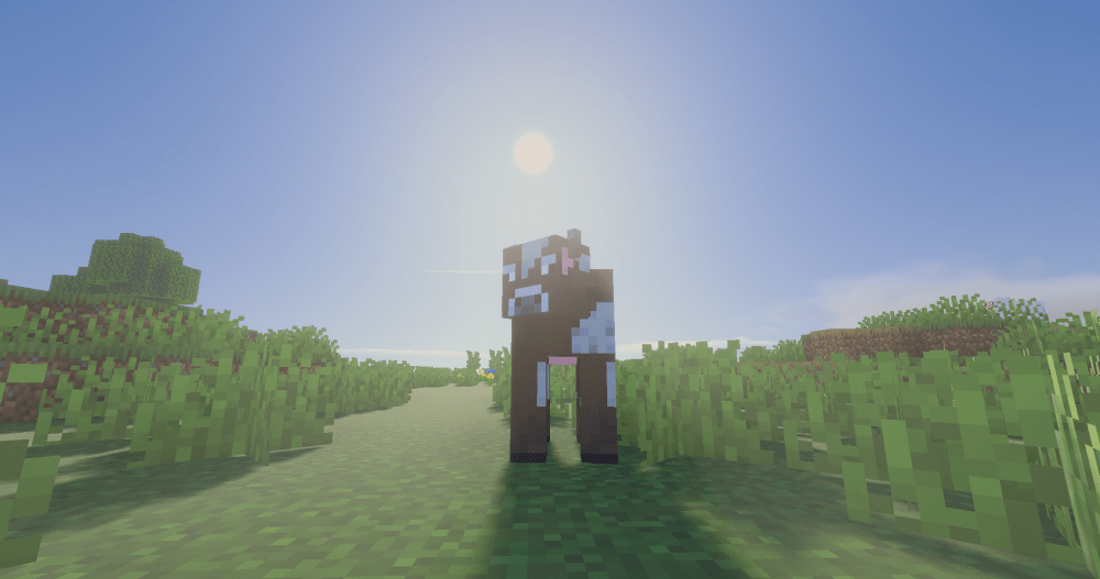 a cow standing in the sunlight, as the alpha he is.