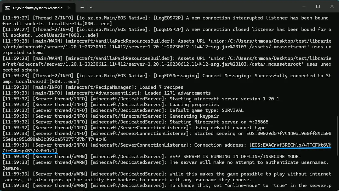 Connection address in dedicated server log