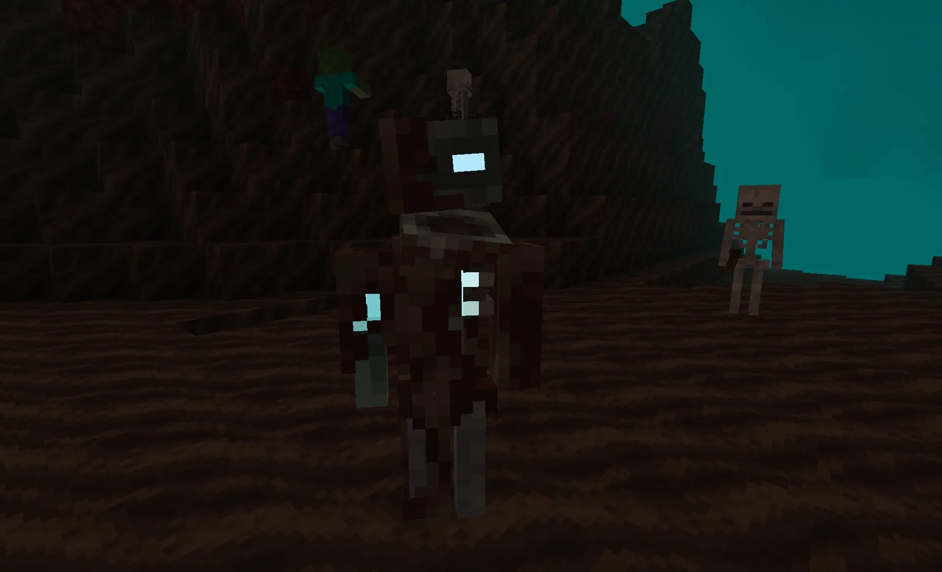 Wilted Soul In the Nether