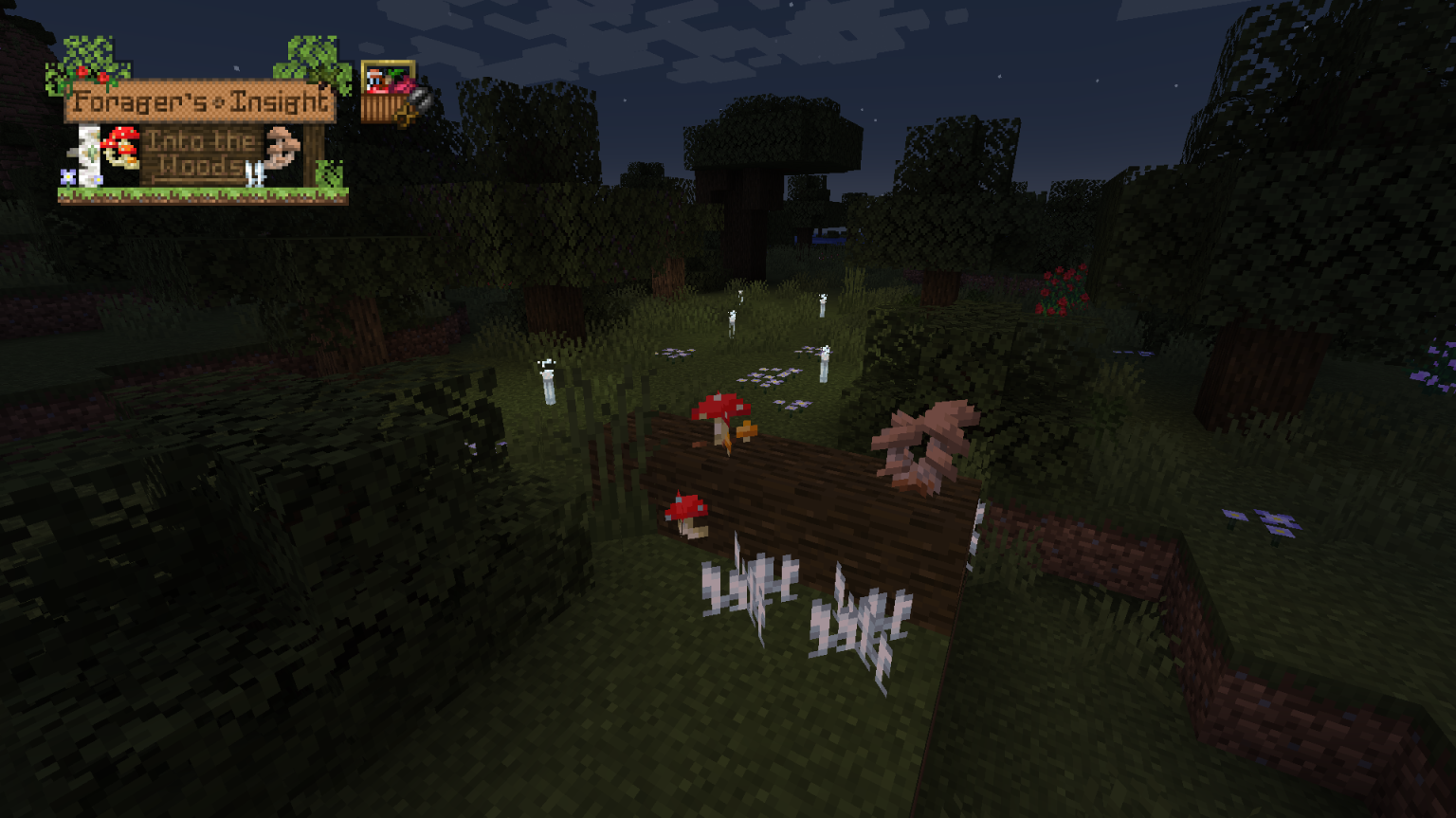 Into the Woods: Part 2