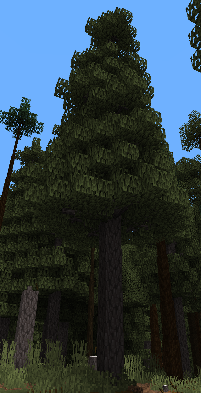 Kind of like Fir Tree, but taller