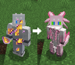 reuse transformation
