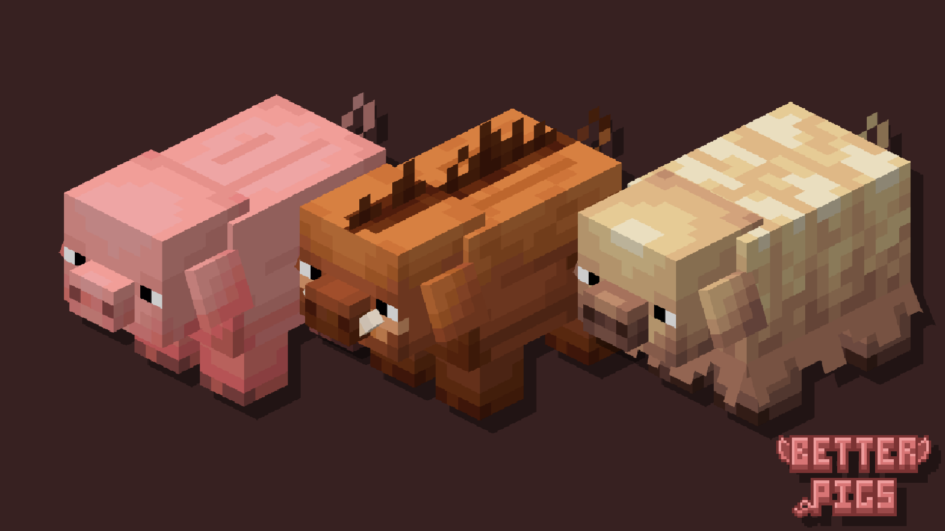 3 pig models
