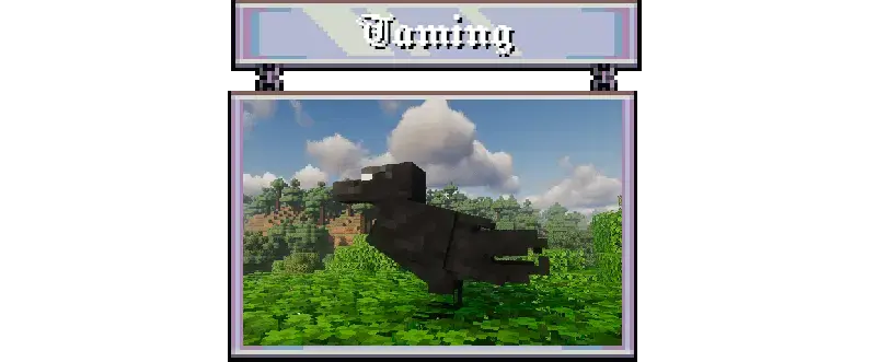 TAMING