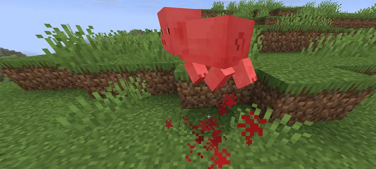 blood