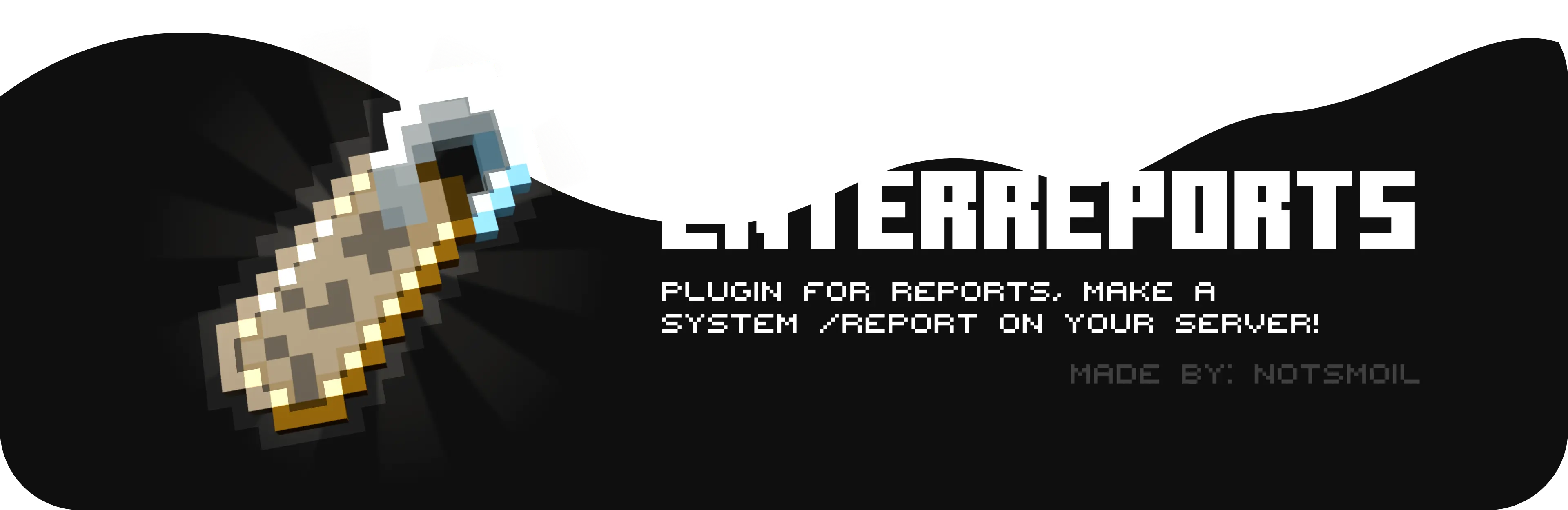 EnterReports