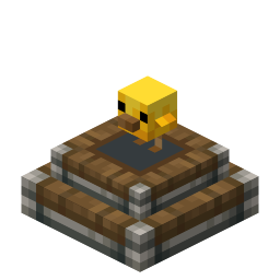 baby chicken forgport