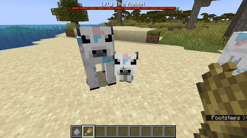 Baby trans cow :3