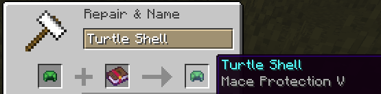 Turtle Helmet
