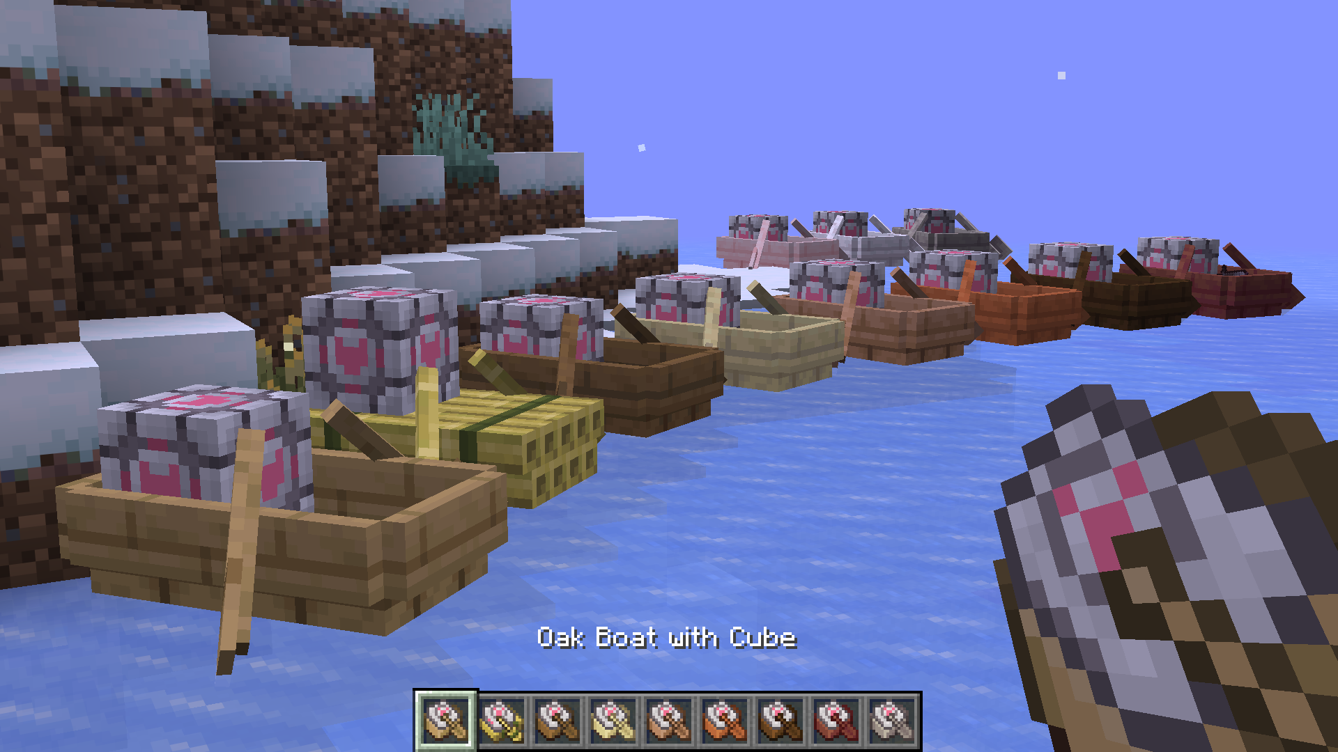 Boats with Companion Cubes