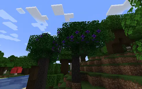 dark apple tree