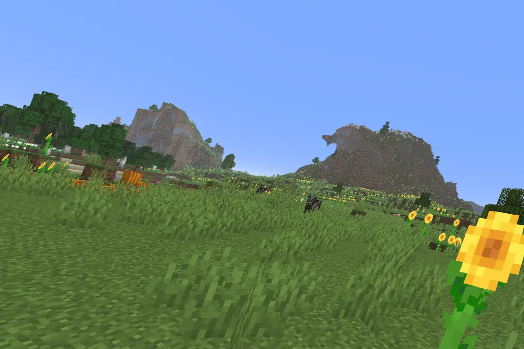 Minecraft with the resource pack: