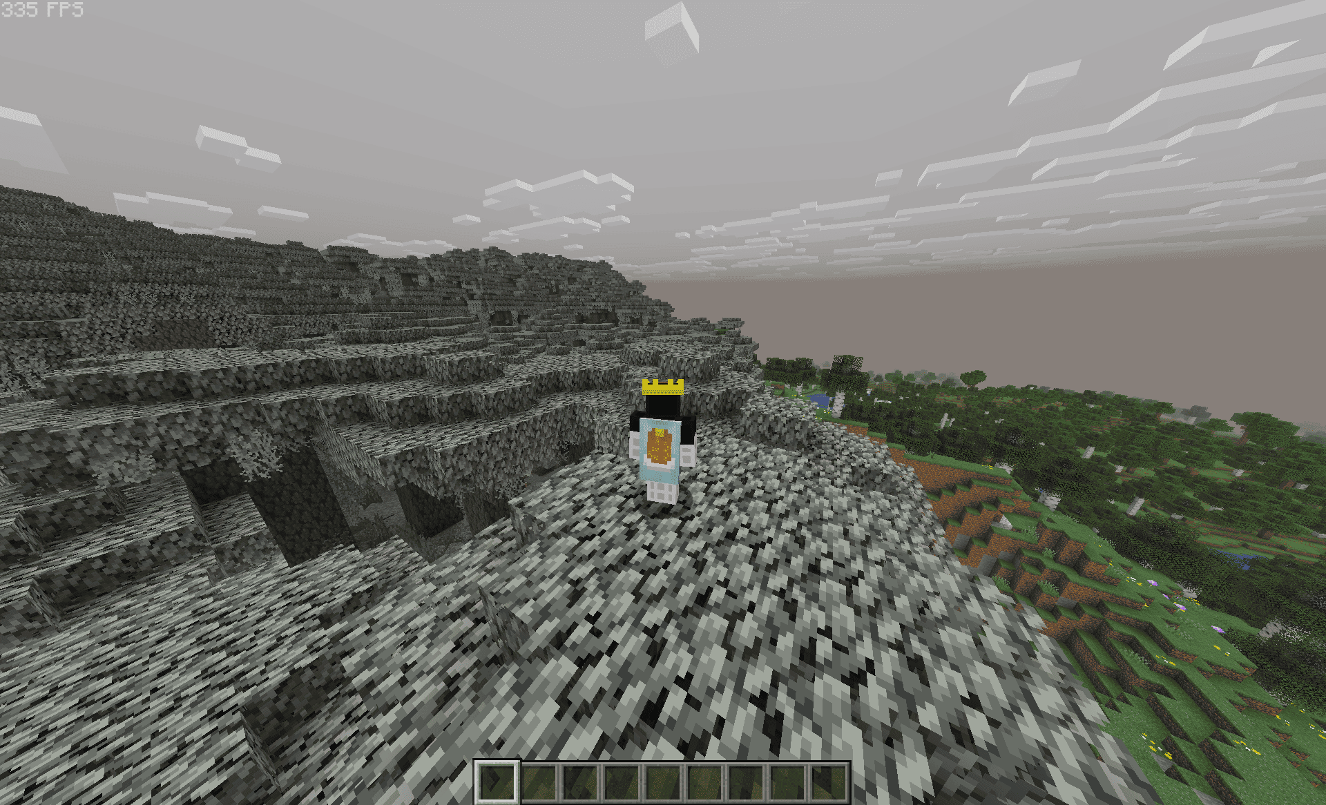 335 FPS 16 render distance, Integrated graphics