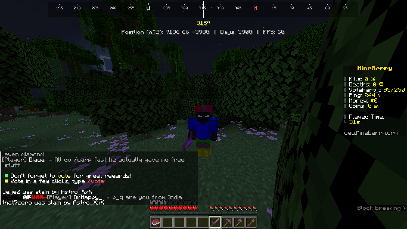 This is feature adds the simple linear compass, position, days, and FPS.