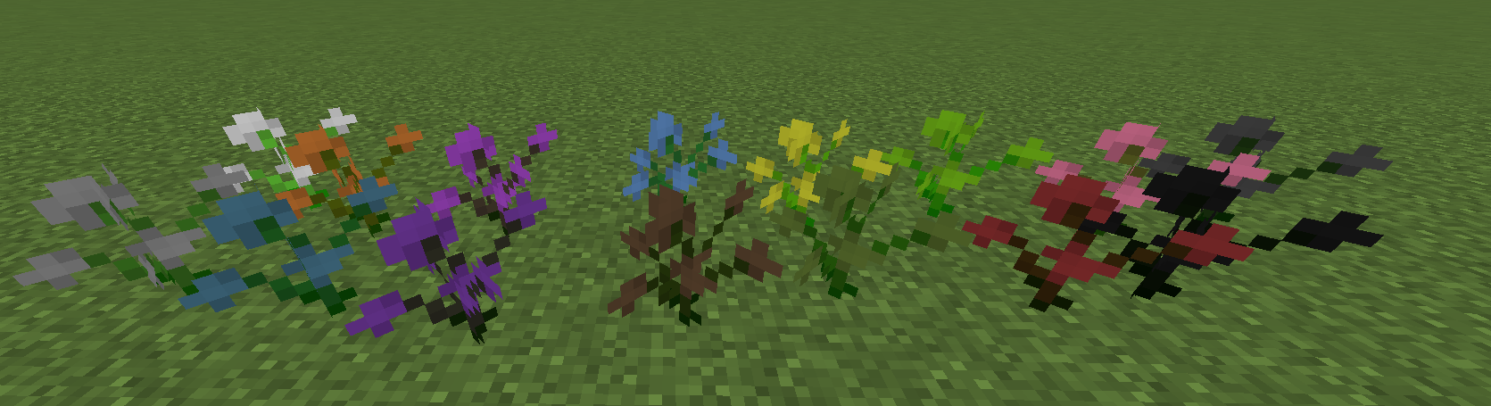 Colored Orchids