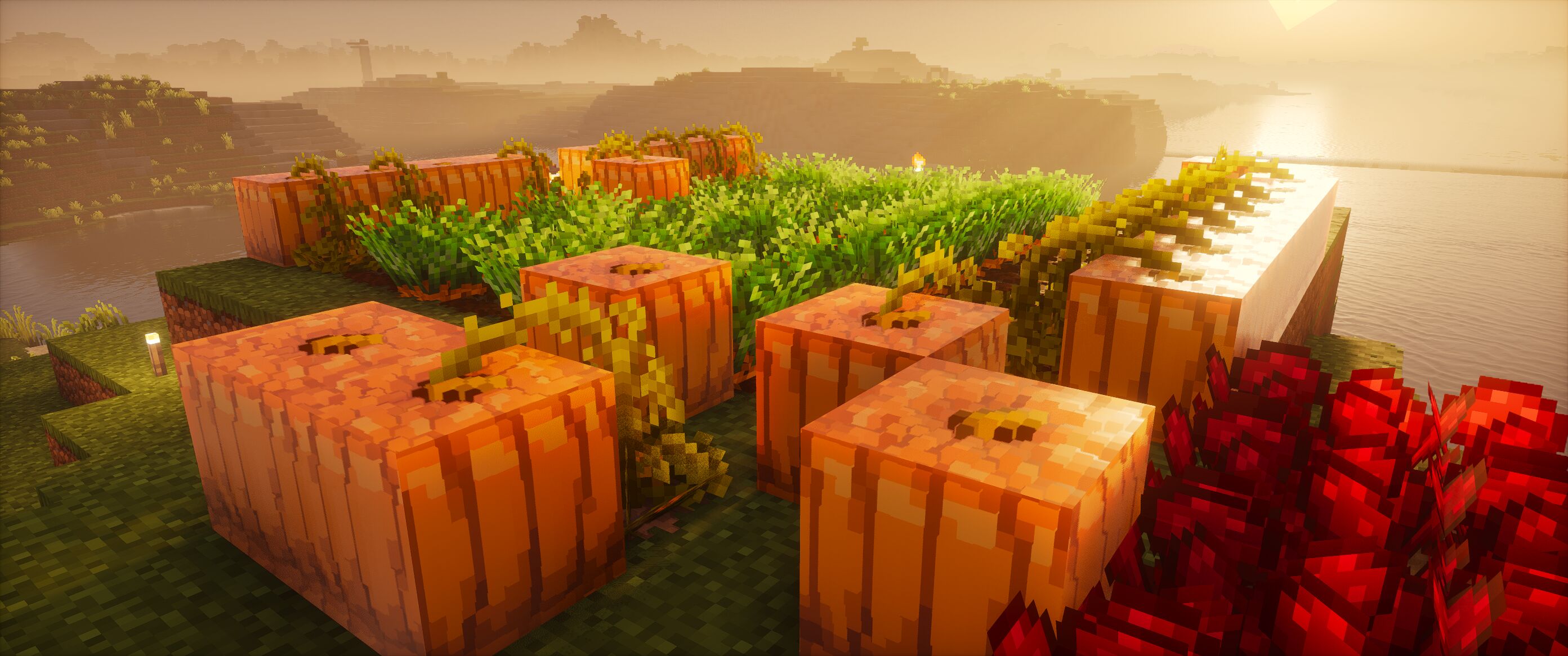 Subsurface Scattering on Pumpkins