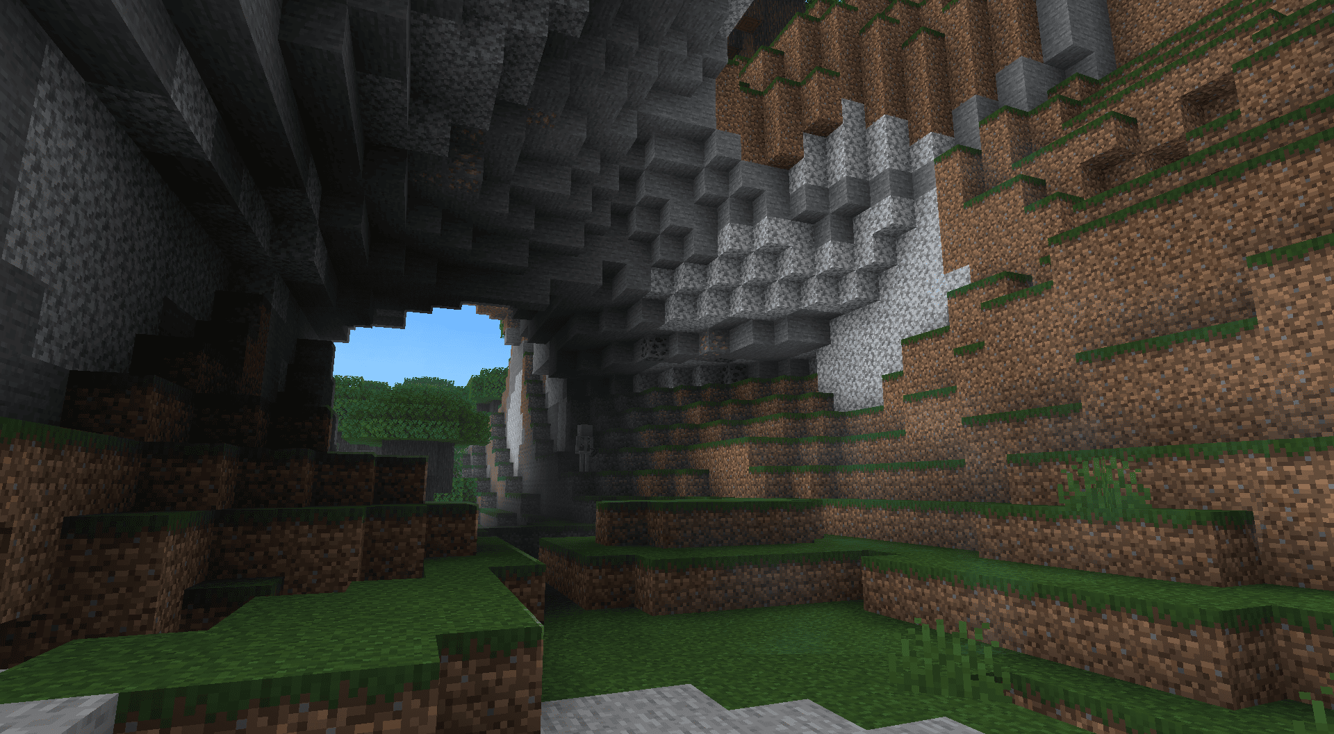 Diorite in Dark Forest