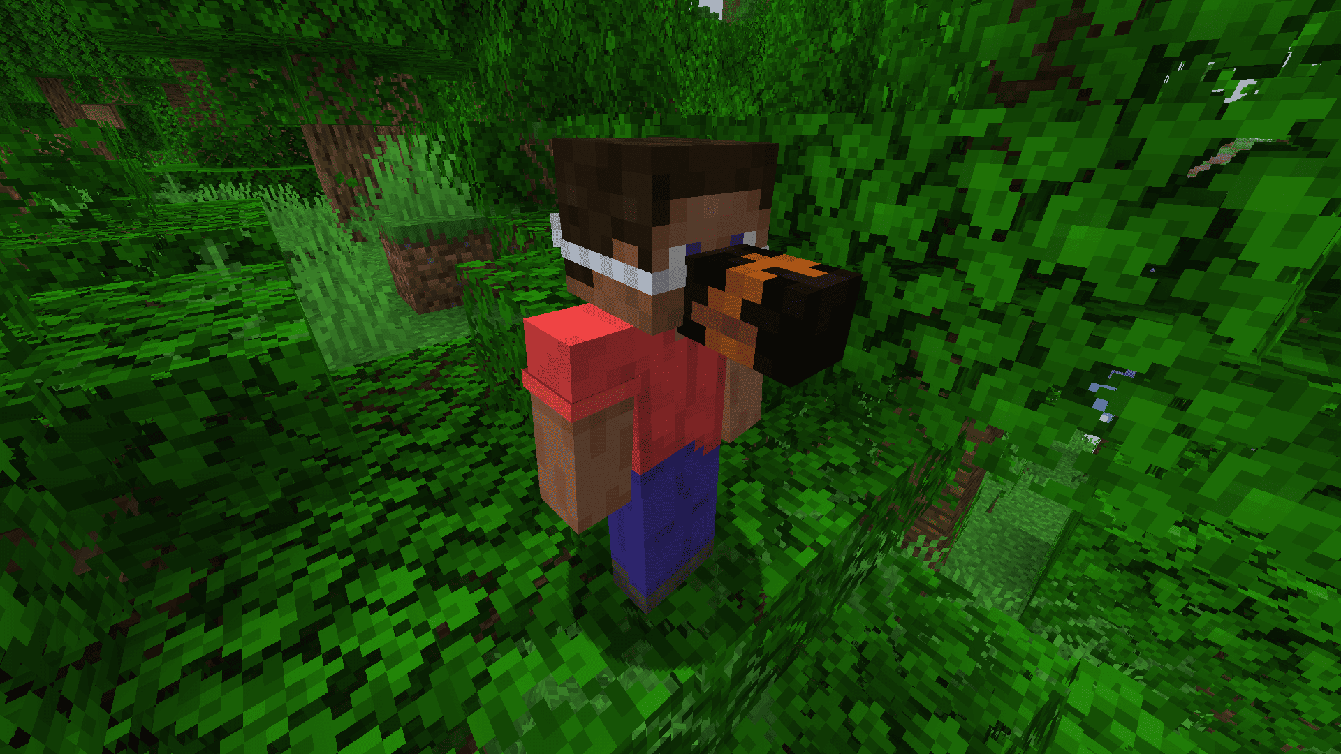 BeakMaskOnPLayer