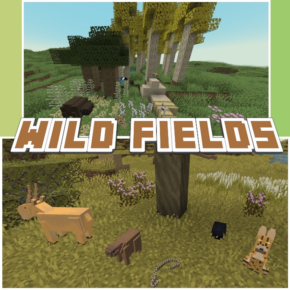 Mod Cover