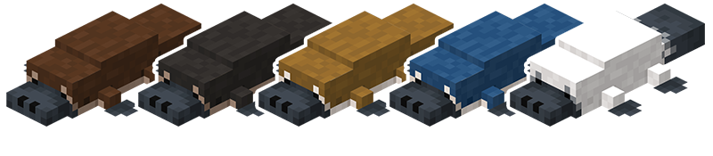 Showcases the platypus equivalents to minecraft's axolotl variants.