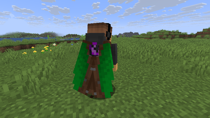 This image shows the elytra with a booster attached