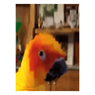 erny