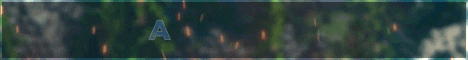 Server