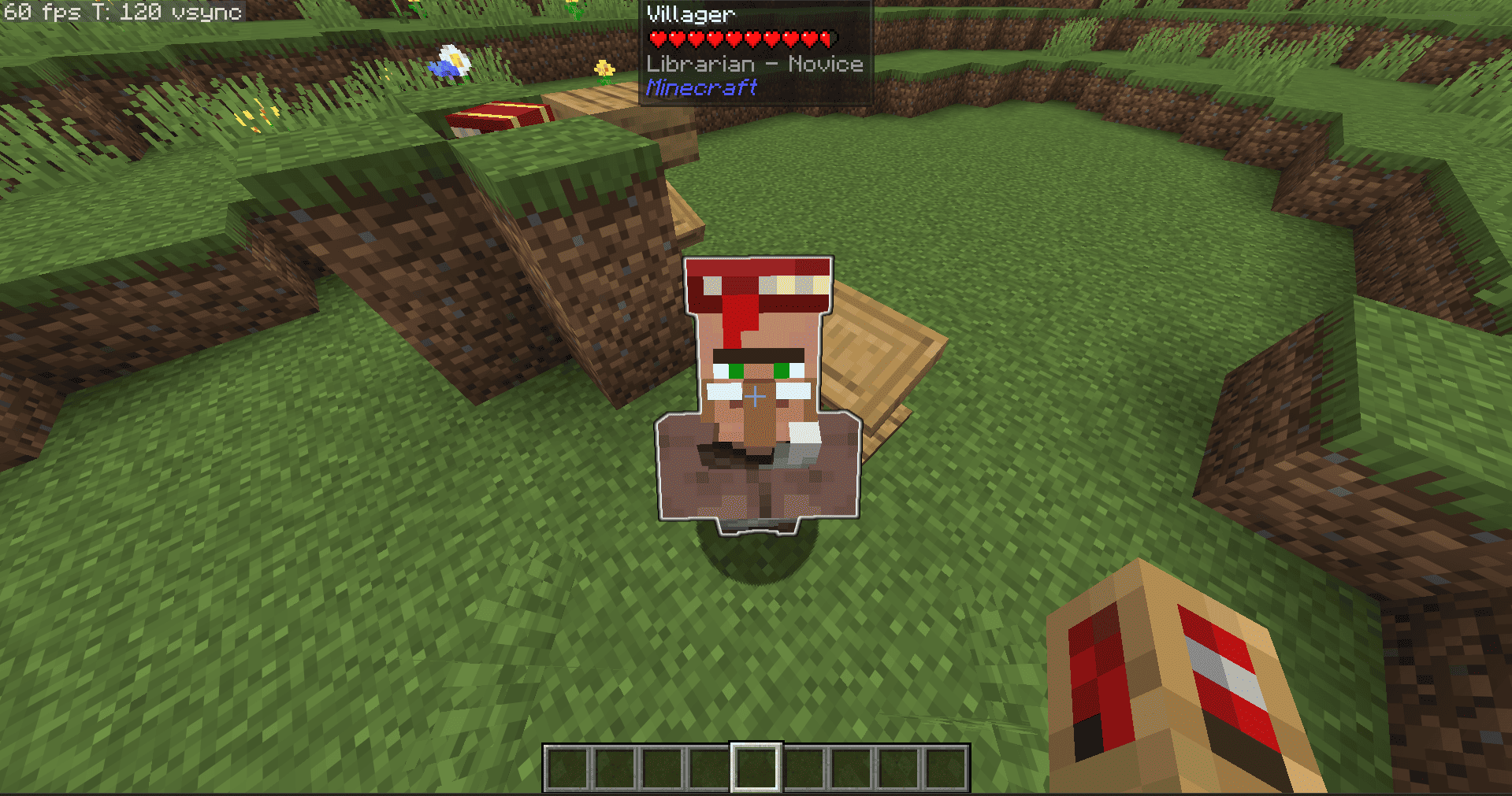 Enabled villager