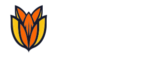 Bloom Hosting