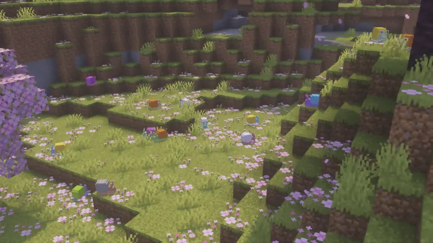 Find Den Den Mushi across your world