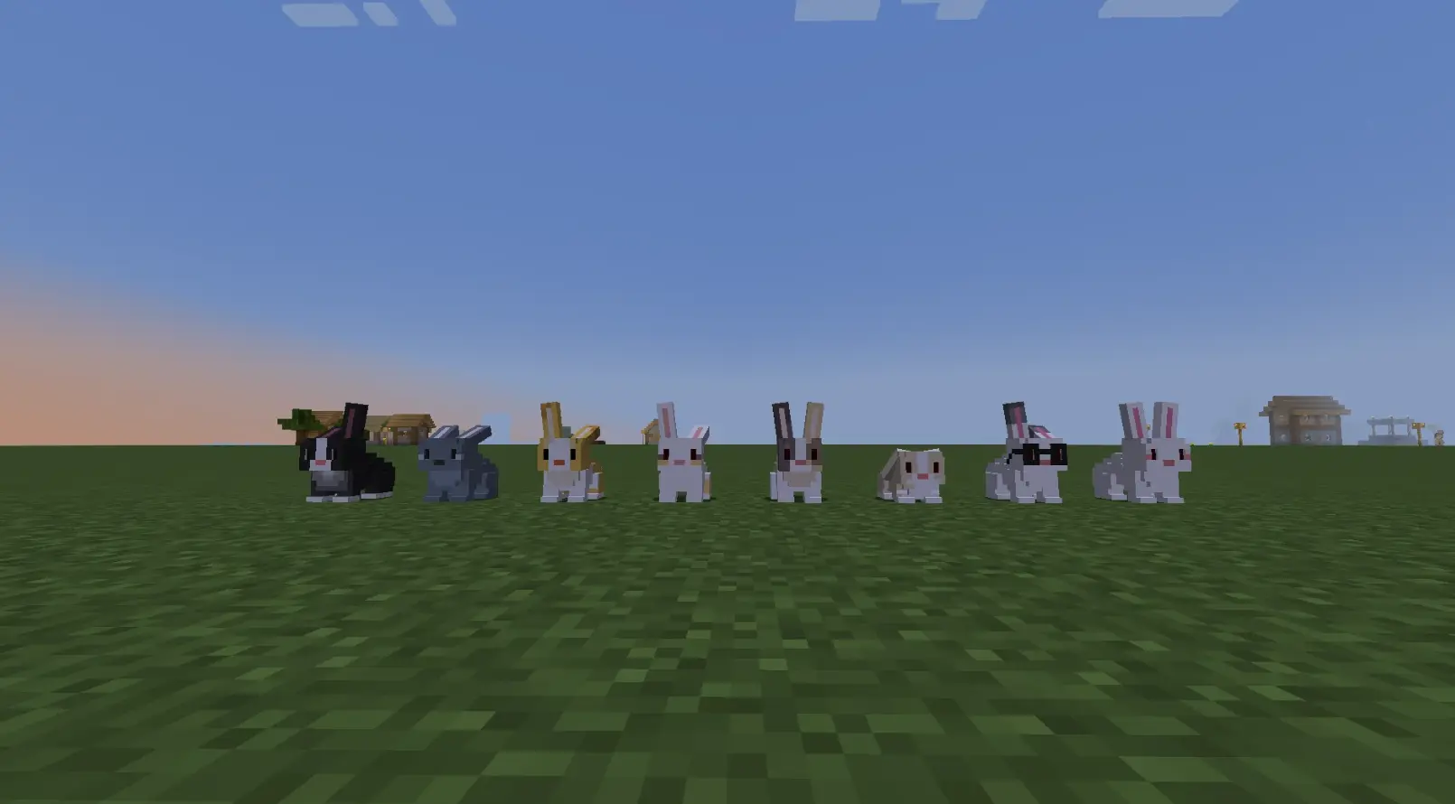 bunnies