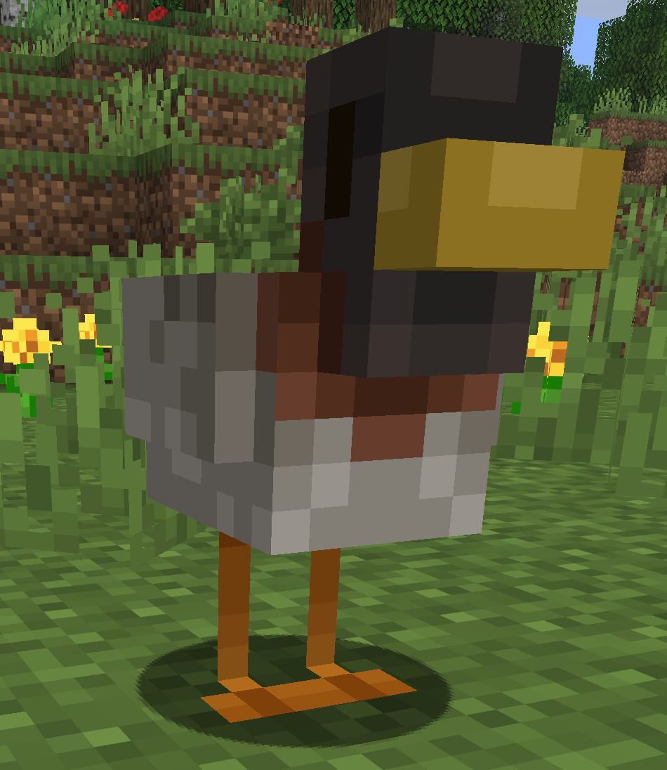 duck