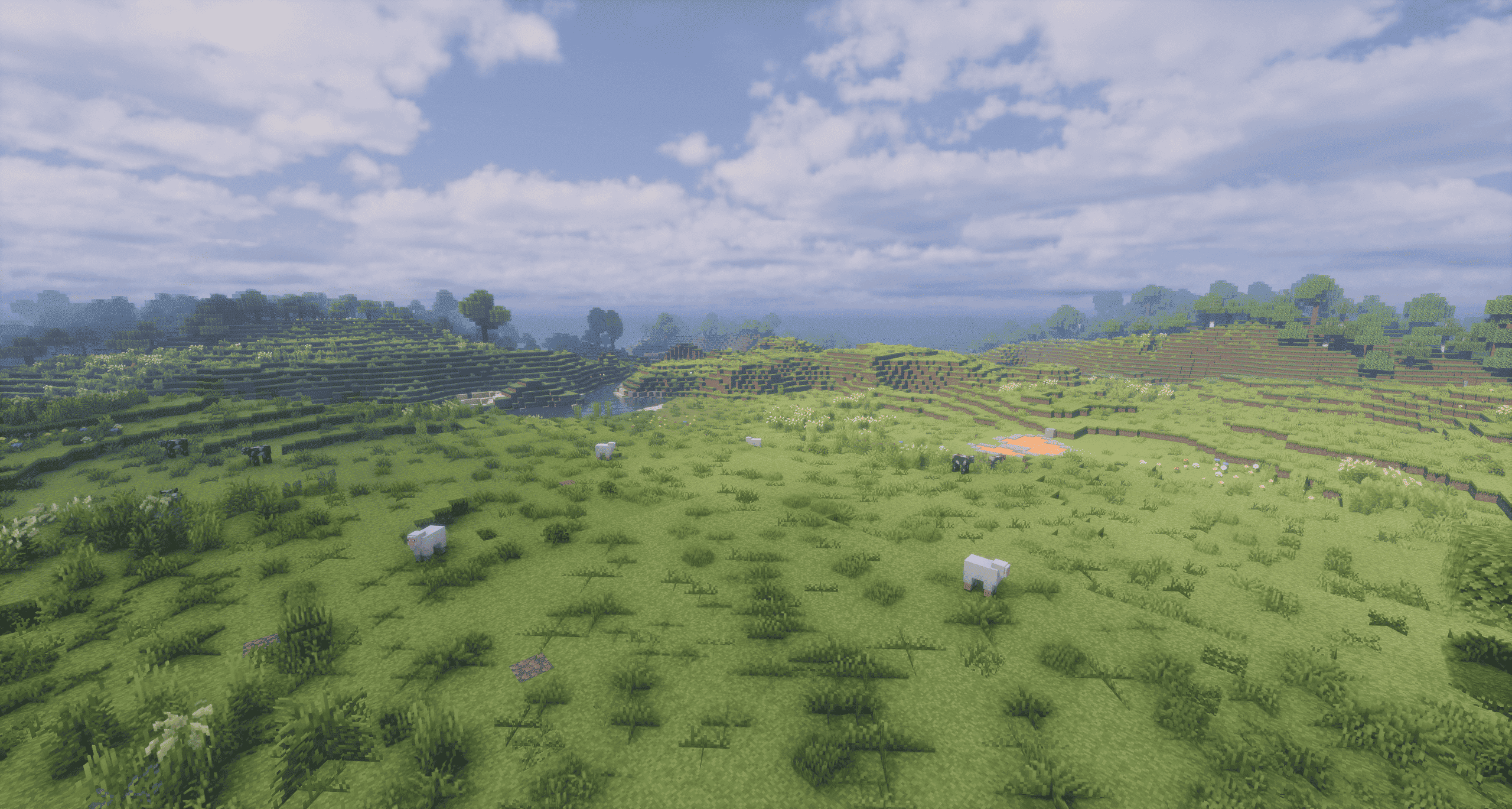 plains showing grass