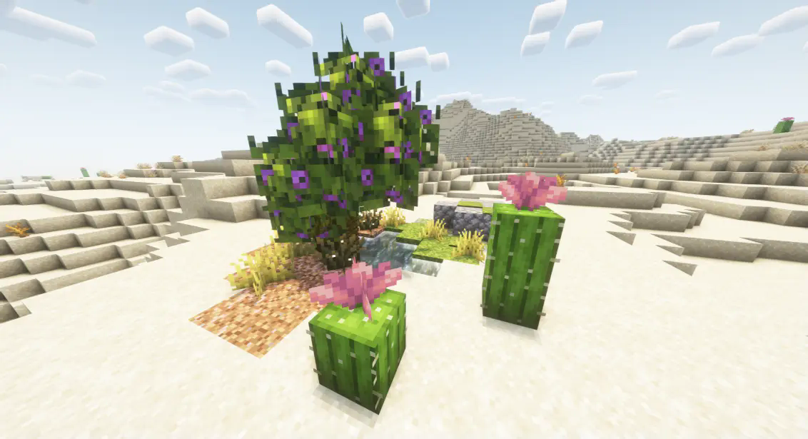 An oasis