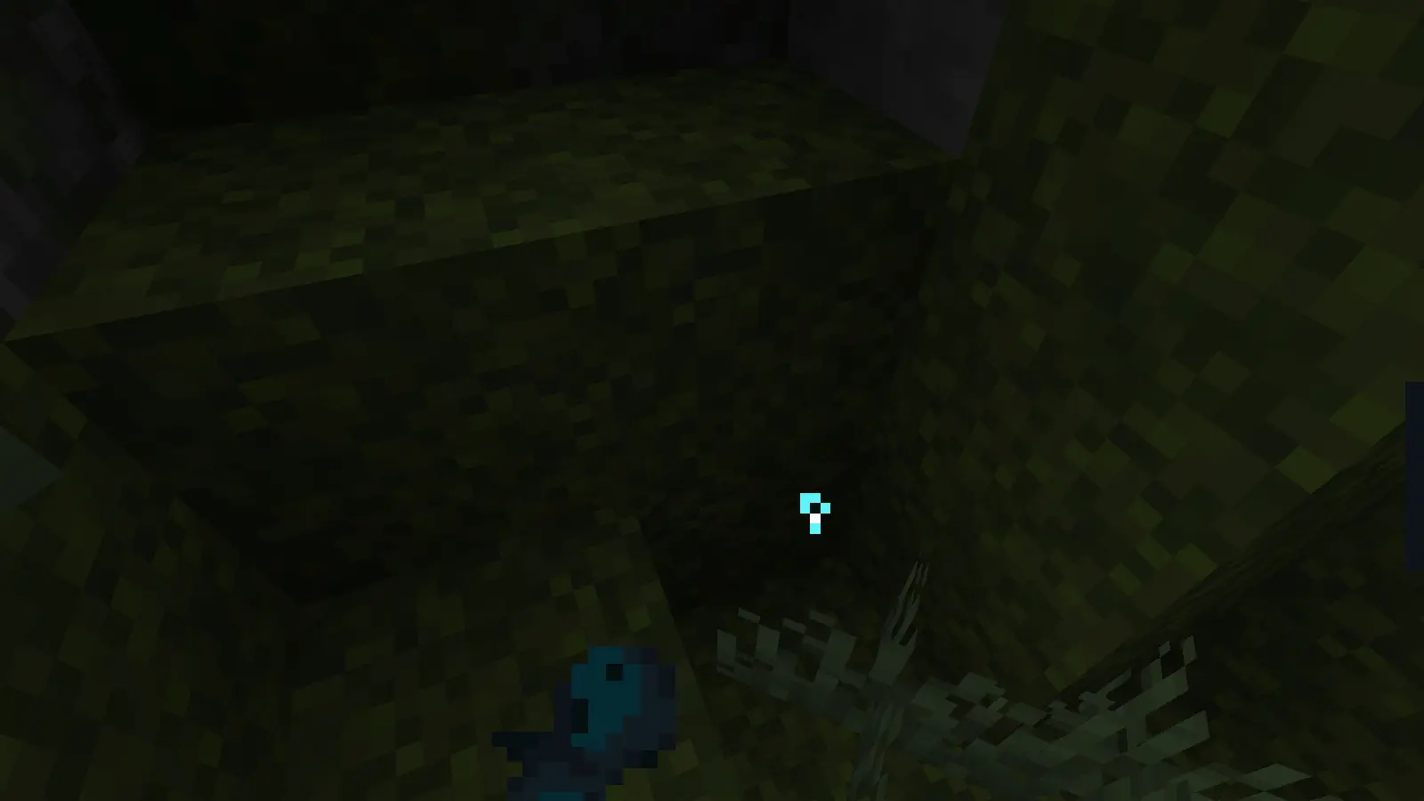 First Person Particles