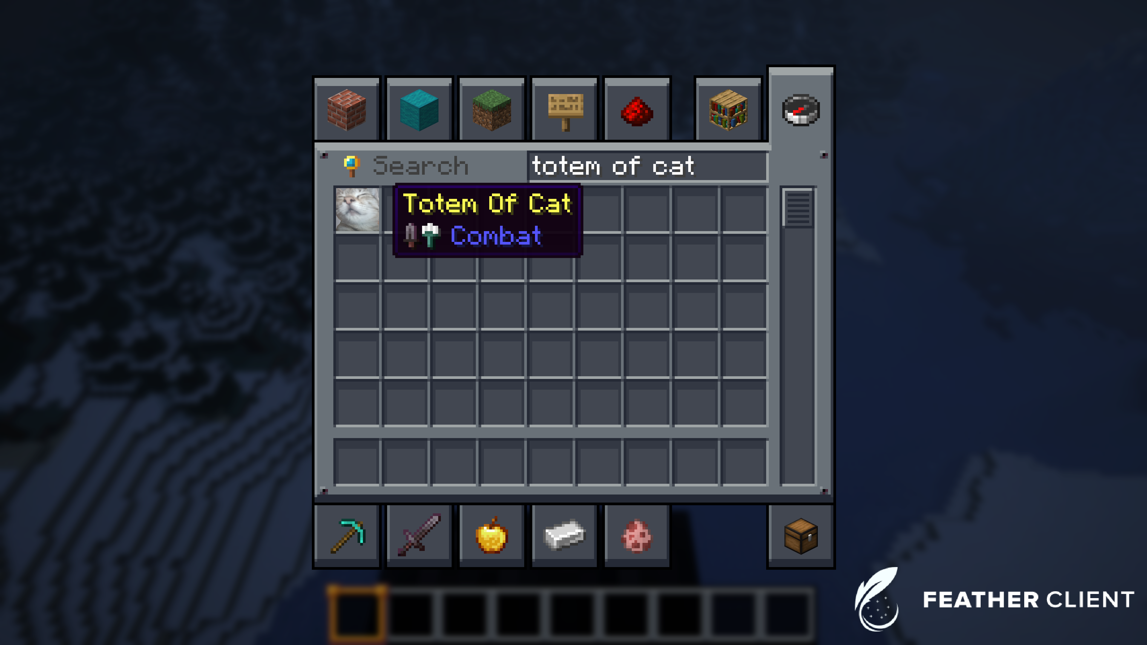 How It Looks In The Invetory
