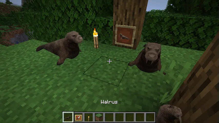 Two walrus blocks, shown alongside a walrus in an item frame and a walrus being held by the player.