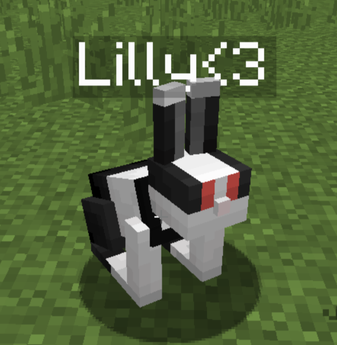 Lilly!