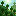 Sparse Jungle