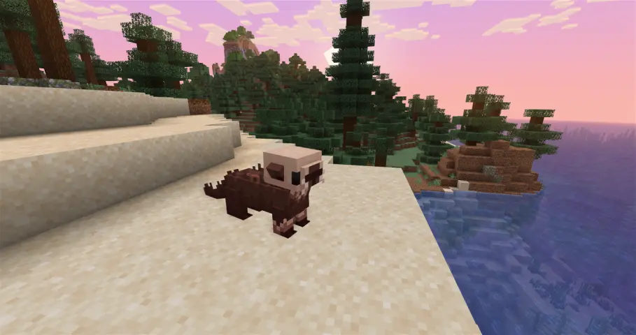 Sea otter at beach