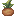ripe pitcher