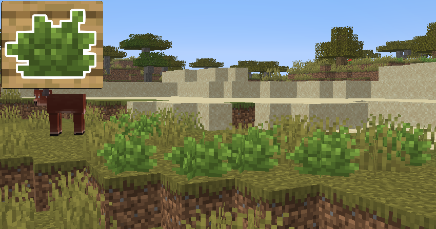 Lime Bush - Found at ANY Savanna