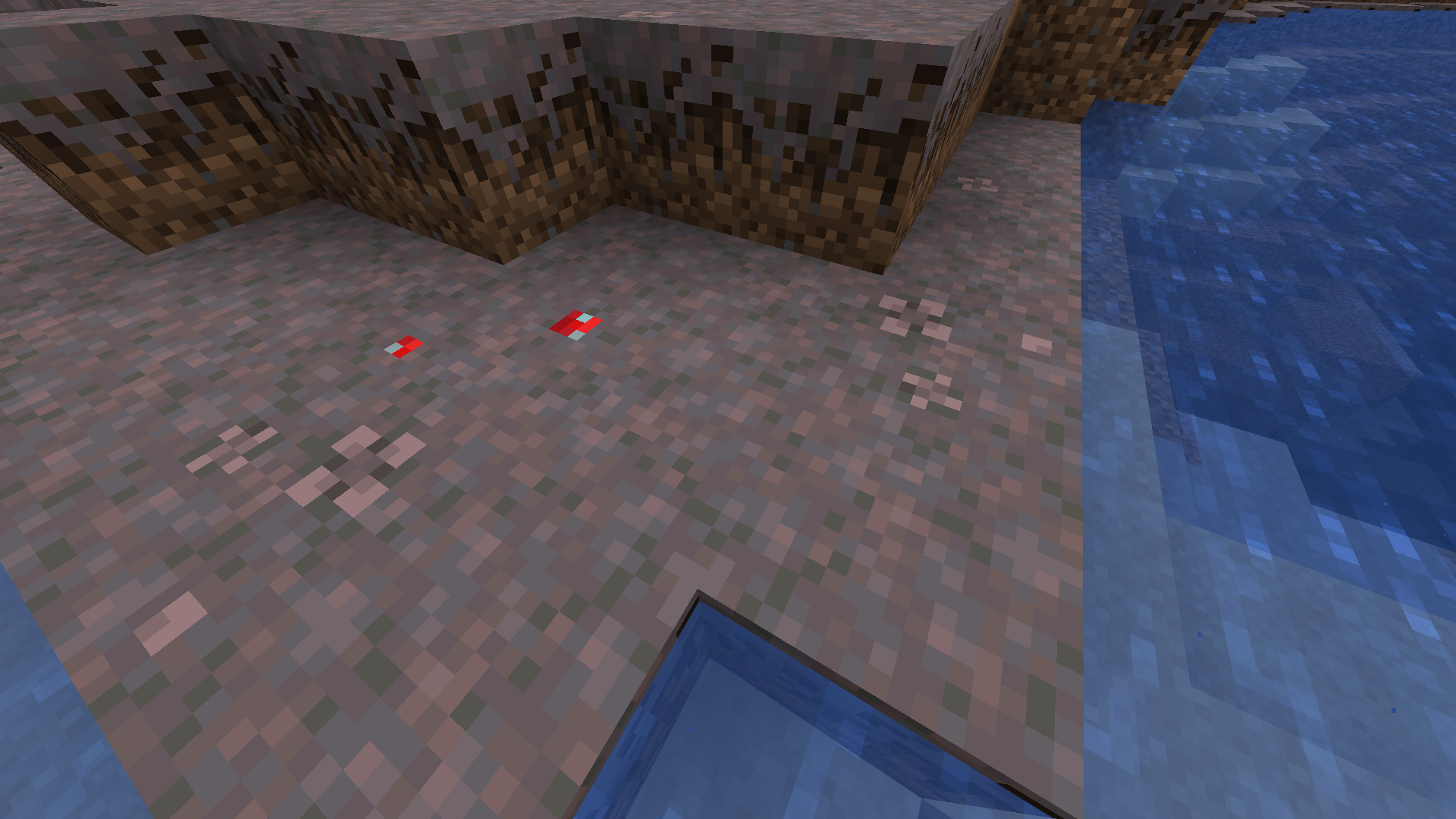 Mycelium