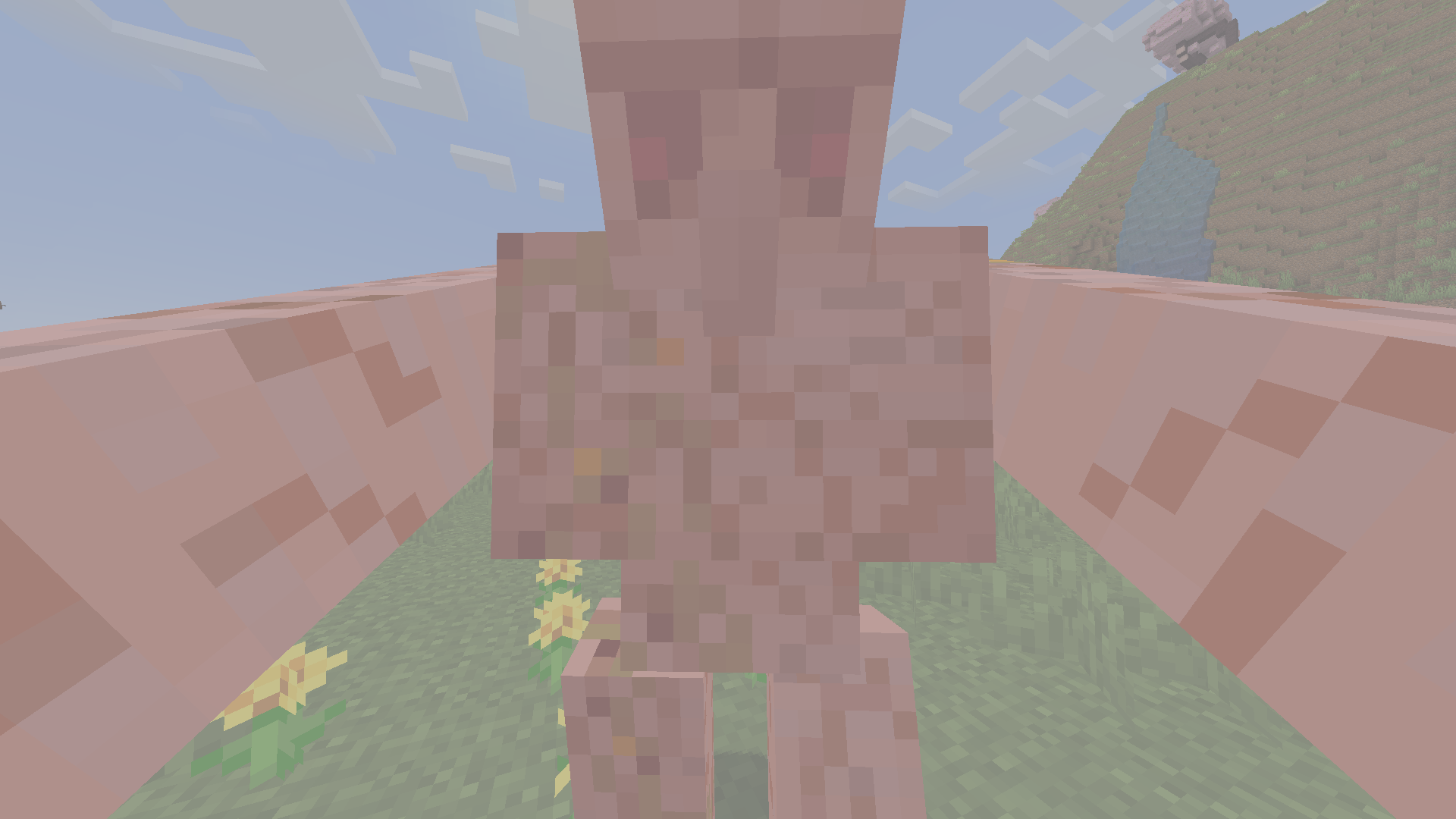 Parried iron golem?